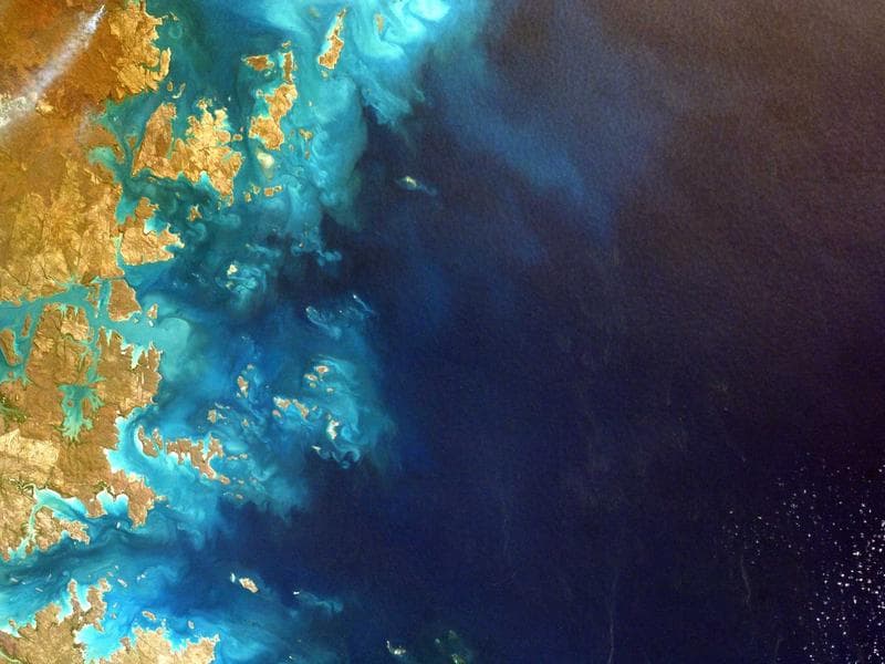 Presiden Resmikan Jembatan Terpanjang di Kalimantan