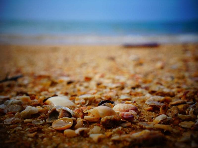 Pendidikan Digital: Janji Manis yang Belum Terwujud