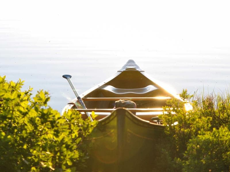 Mengapa Indonesia Perlu Transisi Energi Lebih Cepat